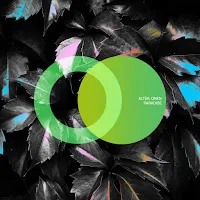 Alter (Ua) — Paradise Ft Onen — обложка